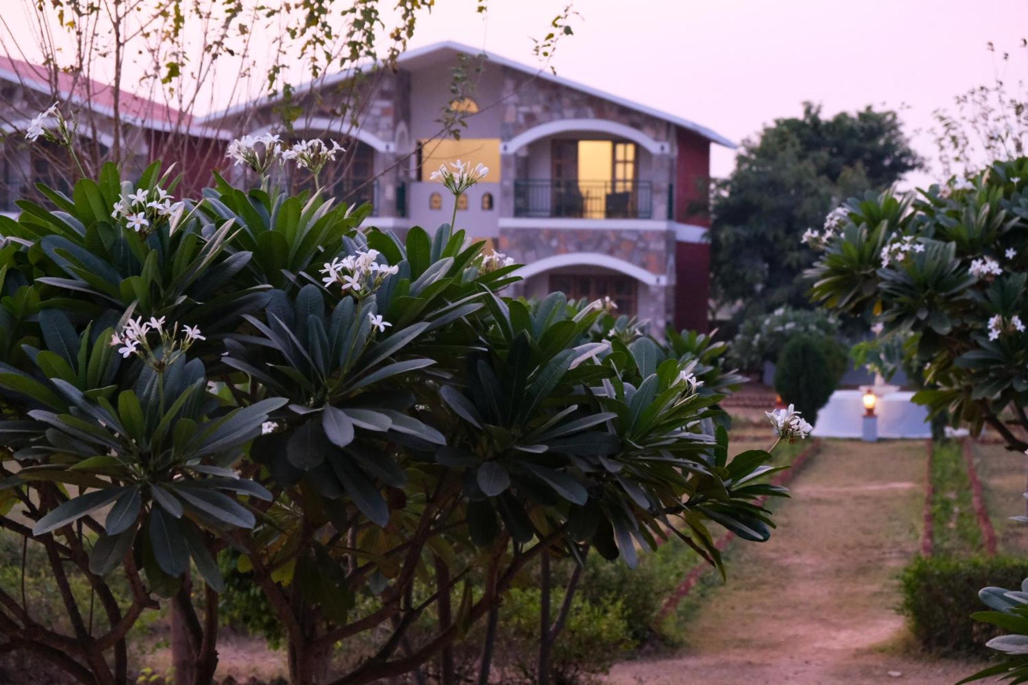 The Sariska Retreat Hotell Thana Ghazi Eksteriør bilde